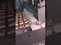 5HP 1000mm Zuivere Chocolade die Machine met Niveausensoren hult